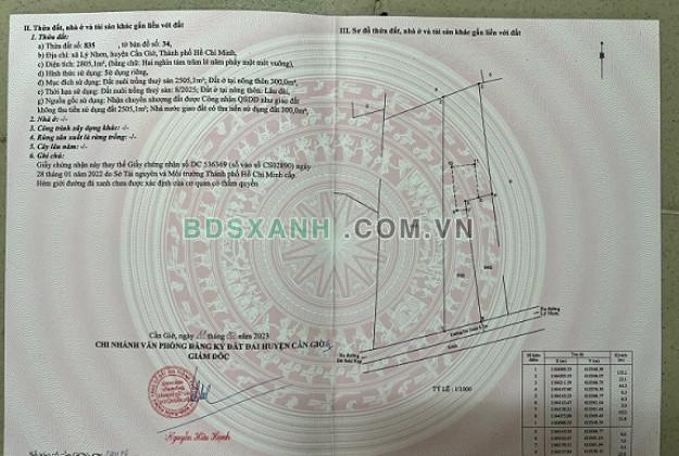 Bán lô đất đường Xương Cá Số (1 va 2) bên xã Lý Nhơn, Cần Giờ, TPHCM; Giá đầu tư 12,5 tỷ; 0913858860