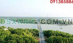 ⭐Tôi chính chủ, cần bán lô đất 2000m2 đường Xương Cá, xã Lý Nhơn, Cần Giờ, 5 tỷ; 0913858860