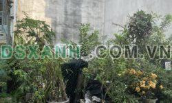 Bán 40m2 thổ cư huyện Nhà Bè, đồng sở hữu, 1.6 tỷ. Lh:0986206626.