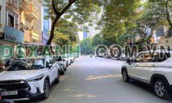 MẶT PHỐ GIANG VĂN MINH – 1 MẶT PHỐ 1 MẶT NGÕ – VỈA HÈ RỘNG – KINH DOANH SẦM UẤT