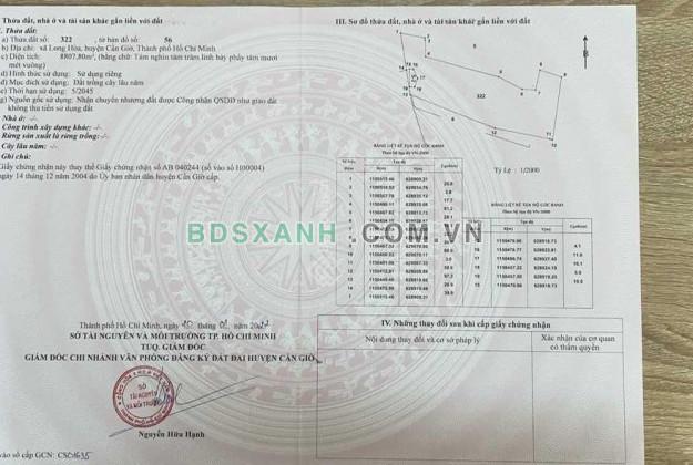Cần Bán Rất Gấp Lô Đất Huyện Cần Giờ. Diện Tích 8808m². HH 1%