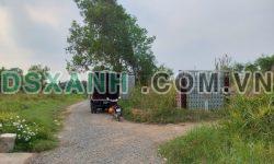 Bán lô góc 55,3m2 xã Nhơn Đức, huyện Nhà Bè, SHR, 500tr. Lh:0988009393