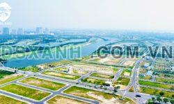 Đất biệt thự FPT Đà Nẵng 450m2 (15×30) view Sông Cổ Cò, đối diện Sân Golf BRG