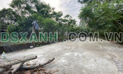 BÁN NHANH 3 LÔ ĐẤT HOÀ PHƯỚC DT LỚN ĐƯỜNG BÊ TÔNG 5M GIÁ RẺ SỤP HẦM