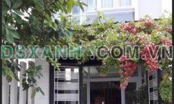 GIA ĐÌNH CHUYỂN VÀO NAM, CẦN BÁN GẤP NHÀ 2 TẦNG_ RỘNG ĐẸP + KIÊN CỐ. VỊ TRÍ ĐẮC ĐỊA TẠI NHS