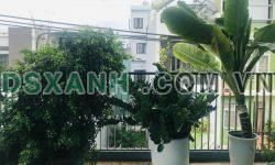 Bán nhà mặt tiền đường Cao Xuân Dục, Hải Châu, 3 tầng, 58 m2, gần Trung Tâm Hành Chính, ô tô đỗ, chỉ 5,65 tỷ.