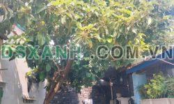 Nhà cấp 4(100m đất) kiệt xe tải Cù Chính Lan giá 30tr/m( còn thương lượng)