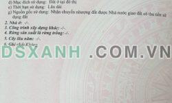 🔴💥Bán đất đường Phú Thạnh 4 – Hòa Minh, Liên Chiểu, Đà Nẵng