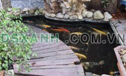 Bán nhà Đẹp 85m Tặng hồ cá koi siêu đỉnh nhỉnh 3 tỷ, 0984013188