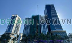 Căn hộ Felicia Oceanview Apart – Hotel giá 59tr/m2