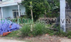 Bán lô đất Nguyễn Phú Hường, Hòa Thọ Tây chỉ 1 tỷ 8