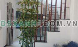 Chính Chủ Bán Nhà Đường Cách Mang Tháng Tám, Cẩm Lệ.