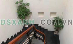 🔥Hàng Sập Hầm🔥Bán nhanh nhà 3 tầng, trung tâm Hải Châu Đà Nẵng, Nhỉnh 5tỷ