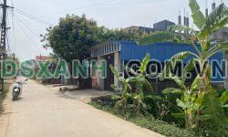 141,8 thôn 5- Quảng Bị – chương Mỹ đầu tư cực kì tiềm năng giá tăng vụt diện tích 141,8m sổ đỏ nét như so ny Mặt đường