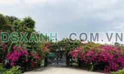 CĂN HỘ DỊCH VỤ MỚI XÂY   – TĂNG NHƠN PHÚ A  -THỦ ĐỨC – GIÁ ĐÂU TƯ SINH LỜI