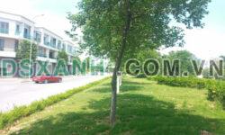 VSIP Từ Sơn, Bắc Ninh. Mời thuê. 225 m2. 4 phòng ngủ. nội thất cao cấp. Chỉ 16 triệu/ tháng