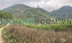 Chuyển nhượng lô đất trung tâm Y Tý, Sapa giá siêu đẹp