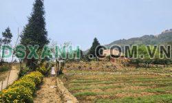 Chuyển nhượng lô đất 3917m2 trung tâm Y Tý, Sapa giá siêu đẹp