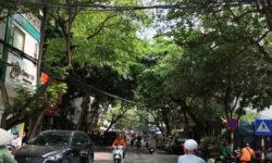 BÁN PHỐ QUỐC TỬ GIÁM, ĐỐNG ĐA, 29M2, NHỈNH 5 TỶ, 2 THOÁNG, Ô TÔ, KINH DOANH, 0984102521