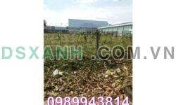 ⭐Chính chủ bán mảnh đất thổ cư 2000m2 Mặt tiền Trần Đại Nghĩa, P4, TP.Vĩnh Long, 50tr/m2; 0989943814