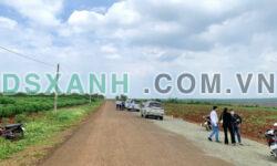Bán nhanh lô đất sào 1000m2 giá siêu rẻ sổ hồng sẵn