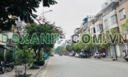 Tôi chính chủ bán gấp căn liền kề 90m2 xây 5 tầng đã hoàn thiện giá chỉ 14.x tỷ- nhận nhà ở ngay