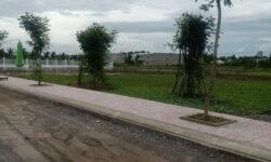 Bán gấp miếng đất thổ cư 5 x 34, đối diện KCN Tân Đức, SHR