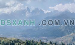 CẮT LỖ ĐẤT NỀN SAPA 4900M2, VIEW THUNG LŨNG MƯỜNG HOA, SUỐI CHẢY QUANH ĐẤT