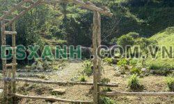 ĐẤT NỀN SAPA KHAI THÁC DU LỊCH 4 MÙA GIÁ RẺ BIÊN ĐỘ LỢI NHUẬN CAO