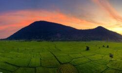 Chỉ với 280tr đã sở hữu ngay 1000m2 đất tại Châu Thành-Tây Ninh