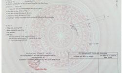 Cần bán gấp bán gấp lô đất ở Tân Lợi Đồng Phú Bình Phước.