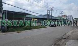 Chính chủ bán 4500m2 đất 83m mặt đường Trần Công An, TP.Tân Uyên, Bình Dương; 0915754848
