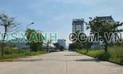 Cần bán lô góc cực hiến – Liền kề đa giác Bim Hùng Thắng 108 m hướng nam