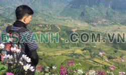 ĐẤT NỀN VEN SAPA 7100M2, ĐÃ CÓ SỔ, VIEW THUNG LŨNG ĐƯỜNG Ô TÔ VÀO TẬN ĐẤT 