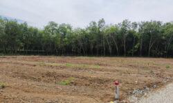KHÓ KHĂN VỀ TÀI CHÍNH NÊN SANG NHƯỢNG MẢNH VƯỜN GẦN NỘI Ô TP HCM