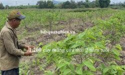Bán 40.000 – 70.000m2 đất trang trại vườn – Xuân Đông – Cẩm Mỹ – Tỉnh Đồng Nai