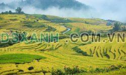 Đất nền Y Tý- Sapa2 đất nền đa dụng, đón song quy hoạch 1/2000