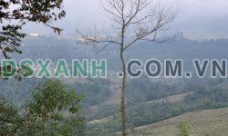Bán đất nền khu du lịch quốc gia Y Tý Sapa2 ,820m2 thôn sín chải