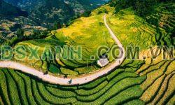 Bán đất Y Tý (Sapa 2) 1750m2, View săn mây có suối chảy quảnh đất, Giá cực tiềm năng