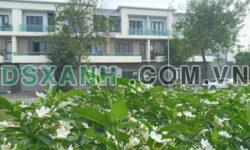 4 phòng ngủ. Nội thất đầy đủ, chuẩn chuyên gia. 20tr/ tháng. VSIP Từ Sơn, Bắc Ninh. Mời thuê