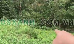 –	Mảnh đất siêu đẹp – giá rẻ tại  Mò Phú Chải – Y Tý ( Sapa2 )