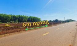 mặt tiền đường ra biển 10 phút, giá tốt tại Phước Long Thọ, Đất Đỏ, Bà Rịa Vũng Tàu