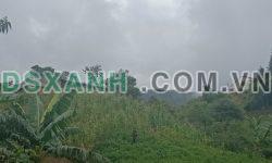 Đất nền Y Tý ( Sapa2) giá rẻ ,vị trí siêu VIP