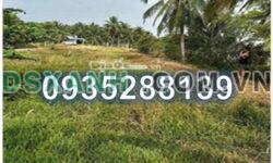 ⭐Chính chủ bán gấp đất đường huyện 3 (QL60 Cũ, Phát Cửu Chiên), Xã Nhị Long, Càng Long, Trà Vinh; 3,75tỷ; 0935288139