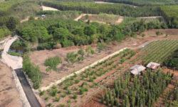 Cần bán lô đất 11.000m2 có 3 mặt tiền, có 1 mặt sông Ray xã Sơn Bình, Châu Đức, BR – VT