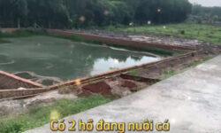 CHỦ NGỘP : 1,5 HECTA CÓ THỔ CƯ