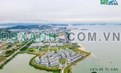 GIÁ RẺ HƠN THỊ TRƯỜNG 20TR/M2 – CHÍNH CHỦ CẦN BÁN 3 CĂN NHÀ PHỐ ĐỊA TRUNG HẢI – VỊNH HẠ LONG