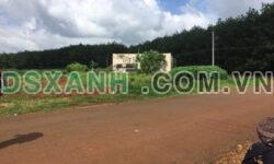 Đất xã Thuận Lợi, Đồng Phú, Bình Phước, đường nhựa, Sổ sẵn, Dân cư hiện hữu