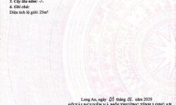 Đất SHR Long An, Vị trí đẹp – giá rẻ