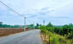 Đất dân ngộp cần bán, trung tâm chợ Hưng Lộc, cách ngã 3 Dầu Giây 3km